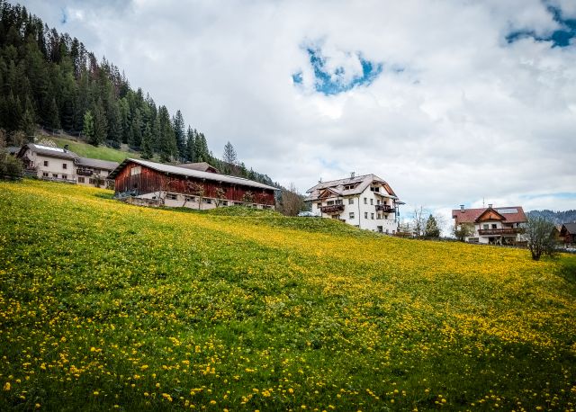 Bild: Ferienwohnungen Tieshof