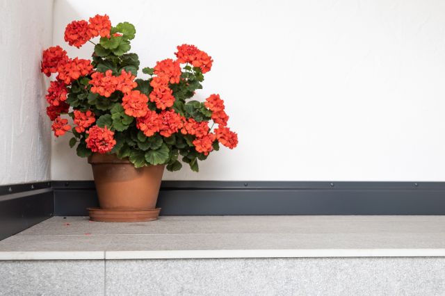 Immagine: Agriturismo Moraier