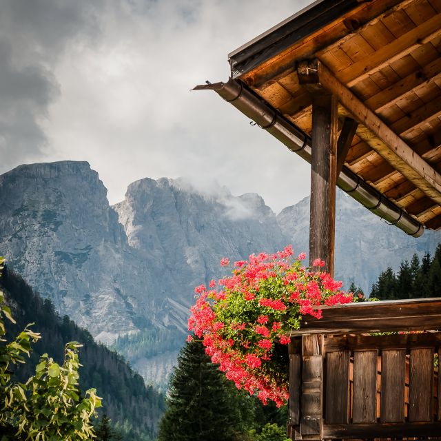 Bild: Ferienwohnungen Tieshof